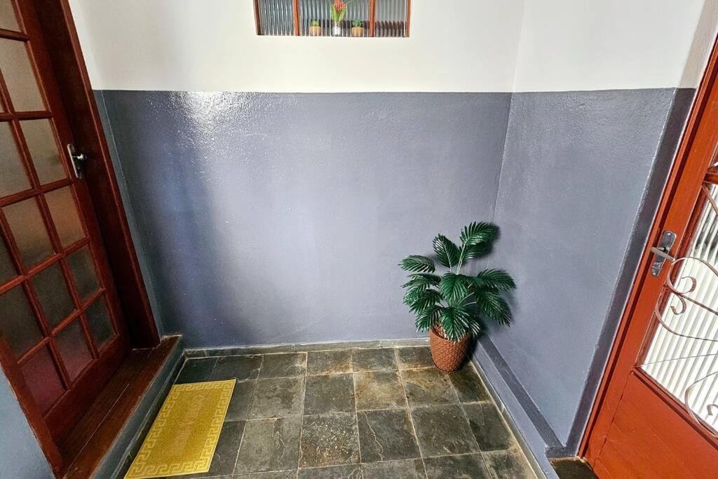 Casa Dos Coelhos, 750M Do Centro, Ate 12 Pessoas Tiradentes Exterior foto